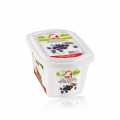 Pure boronice Dira (boronica), me sheqer - 1 kg - Predha PE