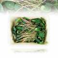Boordevol Microgreens Oost-Indische kers, zeer jonge bladeren / zaailingen - 50g - PE-schaal