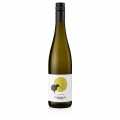 2021 Sauvignon Blanc, i thate, 12.5% vol., Hofmann - 750 ml - Shishe
