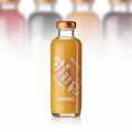 Essential Fruit Mixer - Mandarine (Bar-Fruchtzubereitung), Andros - 440 ml - Flasche