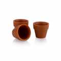 Suklaamuotti Flower Pot mini, taysmaito, 62x55mm, dobla (18139) - 132g, 24 kpl - Pahvi