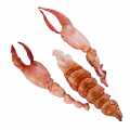 Breton lobster meat, raw, from tail + 2 claws, large, rougie - about 200 g - vacuum