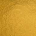 Mango fruit powder, drum dried, with corn starch - 1 kg - bag