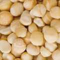 Macadamia noten, heel, geroosterd en met zout - 1 kg - tas