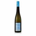 2022 Pinot Gris, thurrt, 12,5% vol., Wittmann, lifraent - 750ml - Flaska