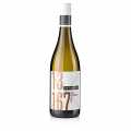 2022 Pinot Gris, uscat, 12,5% vol., Dr. Arzator de carbune - 750 ml - Sticla
