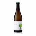 Piu Piu Pet Nat, white sparkling wine, % vol., Fio wine - 750ml - Bottle