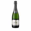 2020 Saphir Blanc Saumur, vin effervescent, Crémant de Loire, 12,5% vol., Bouvet - 750ml - Bouteille