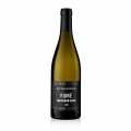 2020 Kaitui FUME, Sauvignon Blanc, kuru, %13 hacim, Markus Schneider - 750ml - Sise