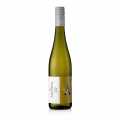 2021 Elemen Sauvignon Blanc, kering, 12% jilid, Alois Kiefer - 750ml - Botol
