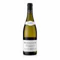 2022 Bourgogne Chardonnay, kuiva, 12,5 tilavuusprosenttia, Louis Moreau - 750 ml - Pullo
