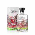 Rhein Gin Fortuna Edition Jacques Tilly, 42% hacim, Dusseldorf - 500ml - Sise
