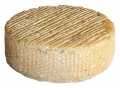 Moringhello, semi-hard cheese made from pasteurized buffalo milk, Quattro Portoni - approx. 600 g - kg