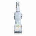 Liqueur de Triple Sec Curacao, Monin, 38% vol. - 700 ml - bottle