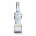 Liqueur de Triple Sec Curacao, Monin, %38 vol. - 700 ml - Sise