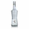 Coconut Liqueur, Monin, 20% vol. - 700 ml - bottle