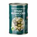 Straw mushrooms - Chinese mushrooms - 425 g - Can