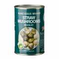 Champignons de paille - Champignons chinois - 425 g - Peut