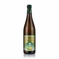 Blommevin Choya Original (Plum) 10% vol. - 750 ml - Flaske