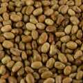 Foul Medammas - Kacang fava, kering - 800g - Beg