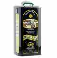 Extra virgin olive oil, Aceites Guadalentin Guad Lay, 100% Picual - 5 l - Pe-bottle