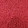 Cassis fruit powder spray-dried with maltodextrin - 1 kg - bag