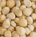 Macadamianüsse, ganze Kerne, mit naturbelassenem Meersalz - 1 kg - Beutel Macadamianüsse, ganze Kerne, mit naturbelassenem Meersalz - 1 kg - Beutel