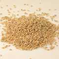 Pearl barley (ice barley), coarse - 1 kg - bag