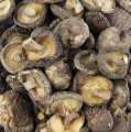Shiitake-paddenstoelen, Tongu, grote kalibratie Ø 5 cm, Da-Hon-Gu - 1 kg - zak
