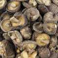 Gobe Shiitake, Tongu, mala kalibracija Ø 3cm, Zhong-Hon-Gu - 1 kg - torba