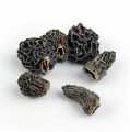 Pointed morel heads, tinies, from Ø 2cm - 1 kg - bag