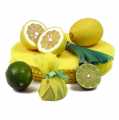 The Original Lemon Wraps - lemon scarf, yellow, with green tie - 100 hours - bag