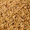 Biji wijen, tidak dikupas, berwarna kuning - 1kg - tas