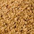 Sesame seeds, unpeeled, yellow - 1 kg - bag