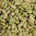 Bonen, Flageolets - groene bonen, gedroogd - 5 kg - zak