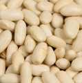 Beans, lingots blanc, white beans, medium-sized, dried - 1 kg - bag