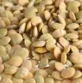 Lentil, lentil pirang, sedang, piring, Prancis - 5kg - tas