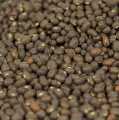 Lentils, black, Urid-Dal / Urid beans, unpeeled, whole - 500 g - bag