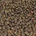 Lentilles noires, fèves Urid-Dal / Urid, non pelées, entières - 500 g - sac