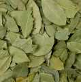 Bobkove listy, cele - 1 kg - Taska
