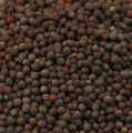 Mustard seeds, dark - 100 g - bag