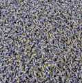 Lavendel, gedroogd - 1 kg - tas