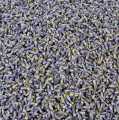 Lavanda, osusena - 1 kg - torba