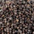 Cubeb pepper - javske korenie, nazyvane aj chvostove korenie / stonkove korenie - 1 kg - taska