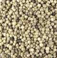 Witte peper, heel - 1 kg - tas