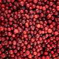 cranberries - 2.5kg - bag