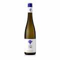 2022 Pinot Grigio, secco, 12% vol., cantina sul Nilo - 750 ml - Bottiglia
