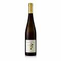 2020 Im Sonnenschein Riesling GG, uscat, 12,5% vol., lemn de vita de vie, organic - 750 ml - Sticla