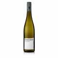 2023 Silvaner, kering, 11.5% jilid, Rainer Sauer, organik - 750ml - Botol