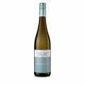 2022 Moscatel, seco, 12% vol., Andres, ecologico - 750ml - Botella